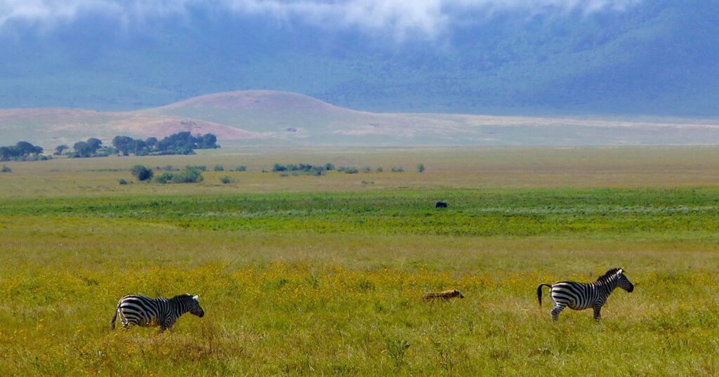 Ngorongoro Conservation Area - Nitarudi Africa Safaris