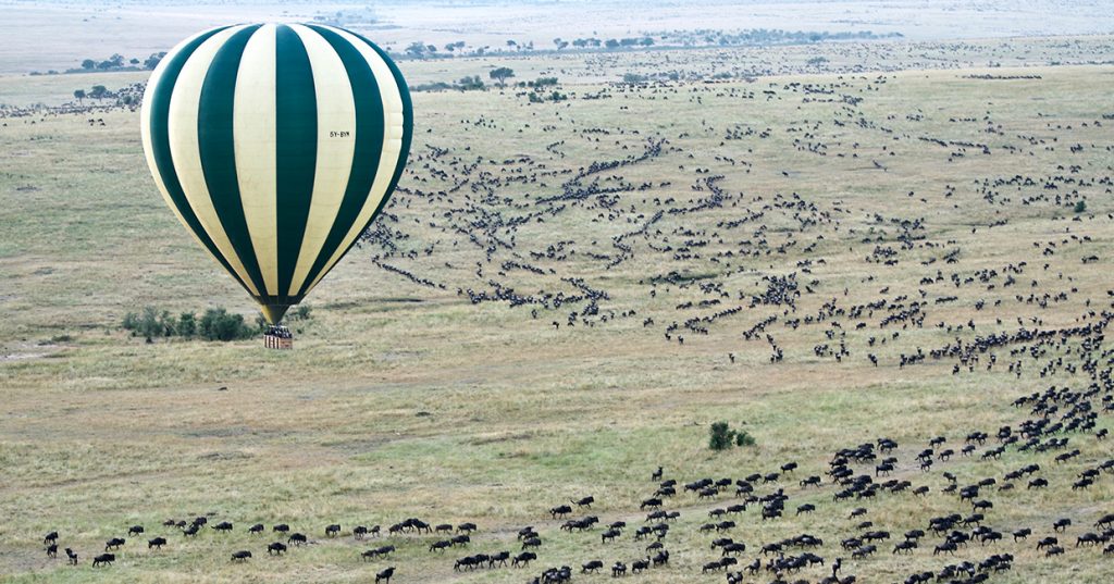 Wildebeest Migration in Serengeti